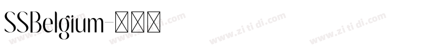 SSBelgium字体转换