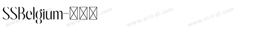 SSBelgium字体转换