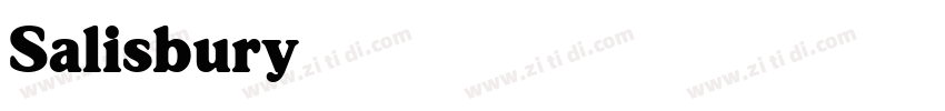 Salisbury字体转换