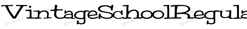 VintageSchoolRegular字体转换