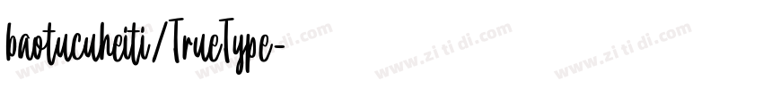 baotucuheiti/TrueType字体转换