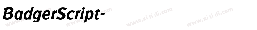 BadgerScript字体转换