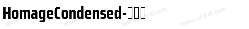 HomageCondensed字体转换