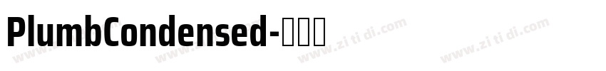 PlumbCondensed字体转换