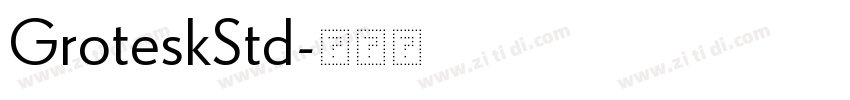 GroteskStd字体转换