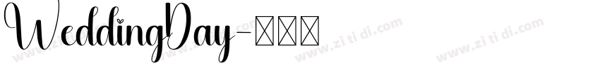 WeddingDay字体转换