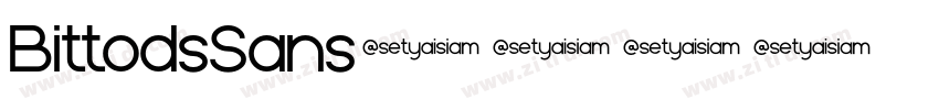 BittodsSans字体转换