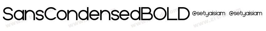 SansCondensedBOLD字体转换