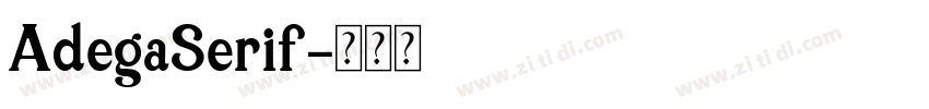 AdegaSerif字体转换