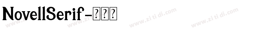 NovellSerif字体转换