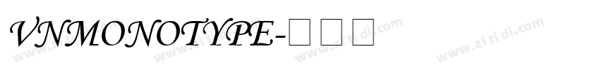 VnMonotype字体转换 VnMonotype字体转换