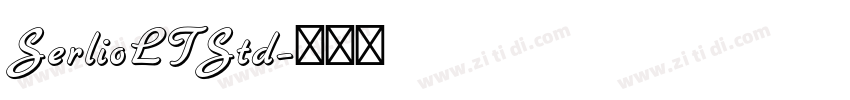 SerlioLTStd字体转换