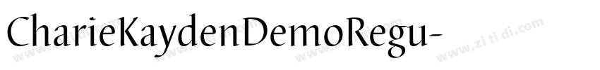 CharieKaydenDemoRegu字体转换