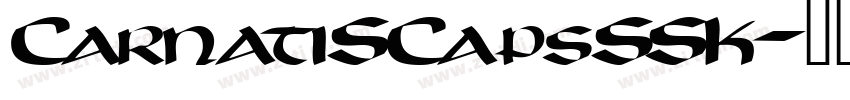 CarnatiSCapsSSK字体转换