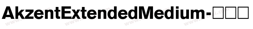 AkzentExtendedMedium字体转换