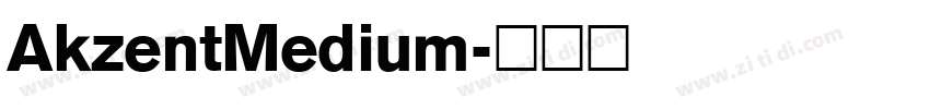 AkzentMedium字体转换