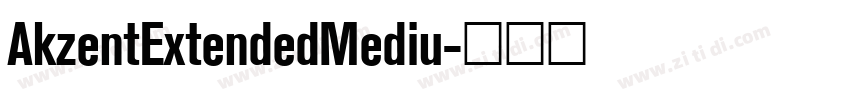 AkzentExtendedMediu字体转换