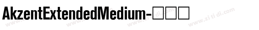 AkzentExtendedMedium字体转换