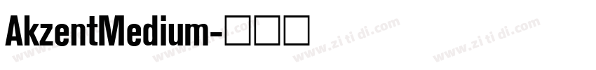 AkzentMedium字体转换