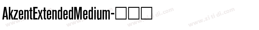 AkzentExtendedMedium字体转换