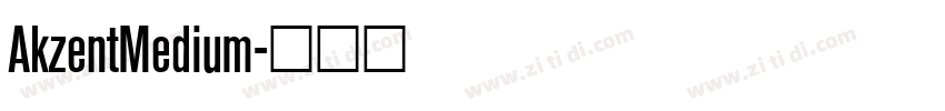 AkzentMedium字体转换
