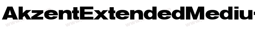 AkzentExtendedMediu字体转换