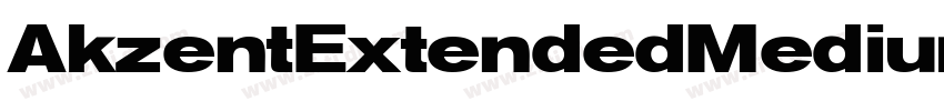 AkzentExtendedMedium字体转换
