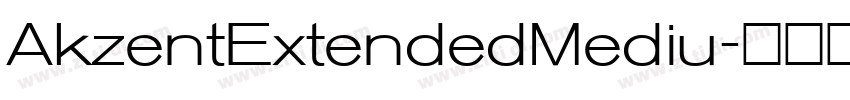 AkzentExtendedMediu字体转换