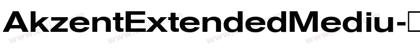 AkzentExtendedMediu字体转换