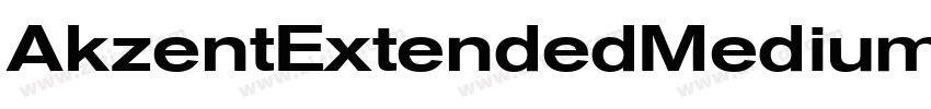 AkzentExtendedMedium字体转换