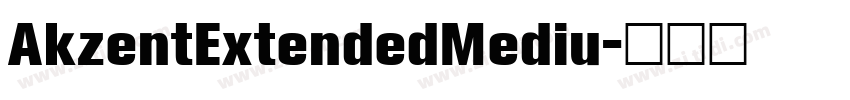 AkzentExtendedMediu字体转换