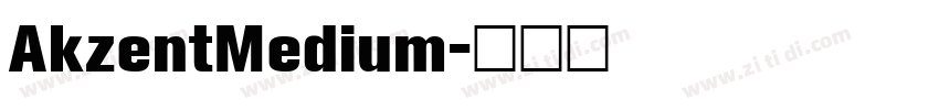 AkzentMedium字体转换