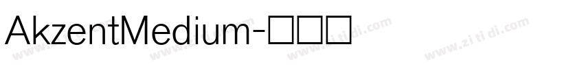 AkzentMedium字体转换