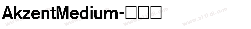 AkzentMedium字体转换