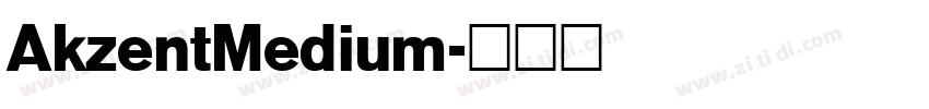 AkzentMedium字体转换