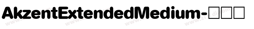 AkzentExtendedMedium字体转换