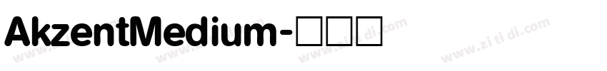 AkzentMedium字体转换