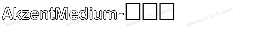 AkzentMedium字体转换