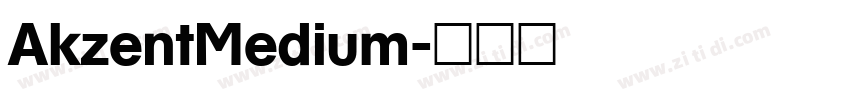 AkzentMedium字体转换