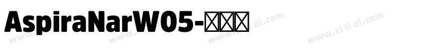 AspiraNarW05字体转换