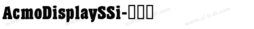 AcmoDisplaySSi字体转换