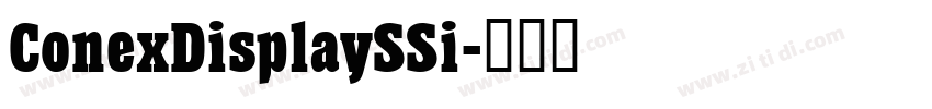 ConexDisplaySSi字体转换