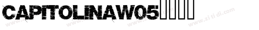 CapitolinaW05字体转换