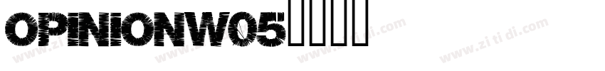 OpinionW05字体转换
