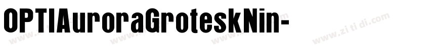 OPTIAuroraGroteskNin字体转换