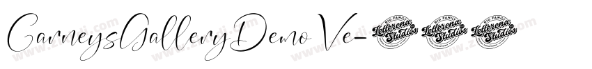 CarneysGalleryDemoVe字体转换