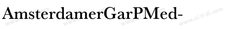 AmsterdamerGarPMed字体转换