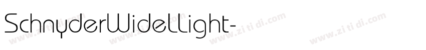 SchnyderWideLLight字体转换