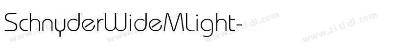 SchnyderWideMLight字体转换
