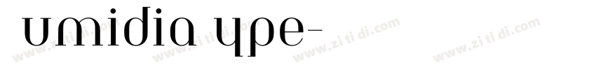 NumidiaType字体转换